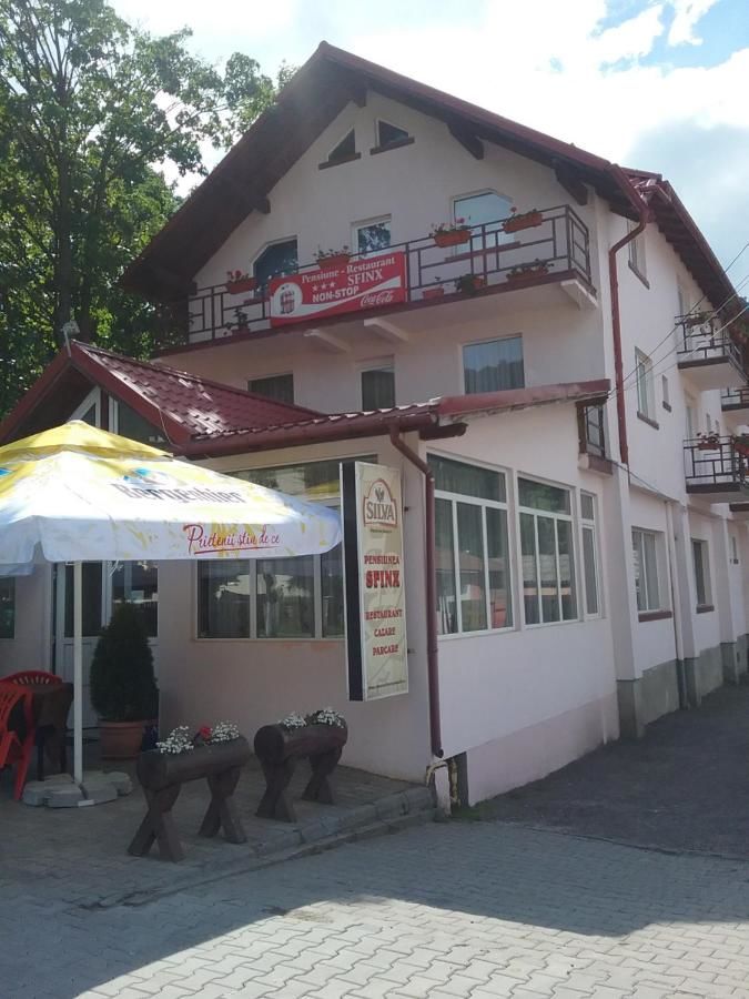 Гостевой дом Pensiune Restaurant Sfinx Буштени-4