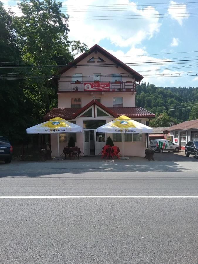 Гостевой дом Pensiune Restaurant Sfinx Буштени-17