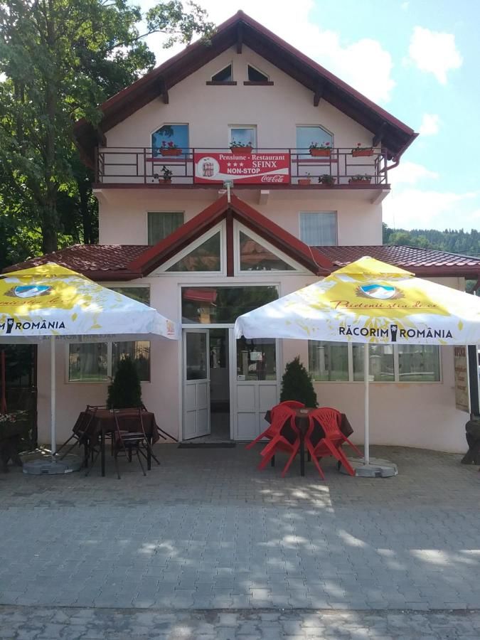 Гостевой дом Pensiune Restaurant Sfinx Буштени-18
