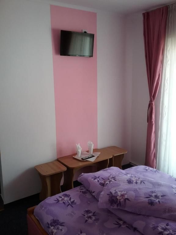 Гостевой дом Pensiune Restaurant Sfinx Буштени-21