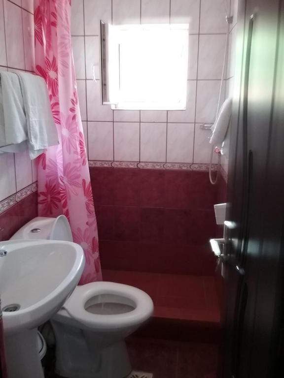 Гостевой дом Pensiune Restaurant Sfinx Буштени-23