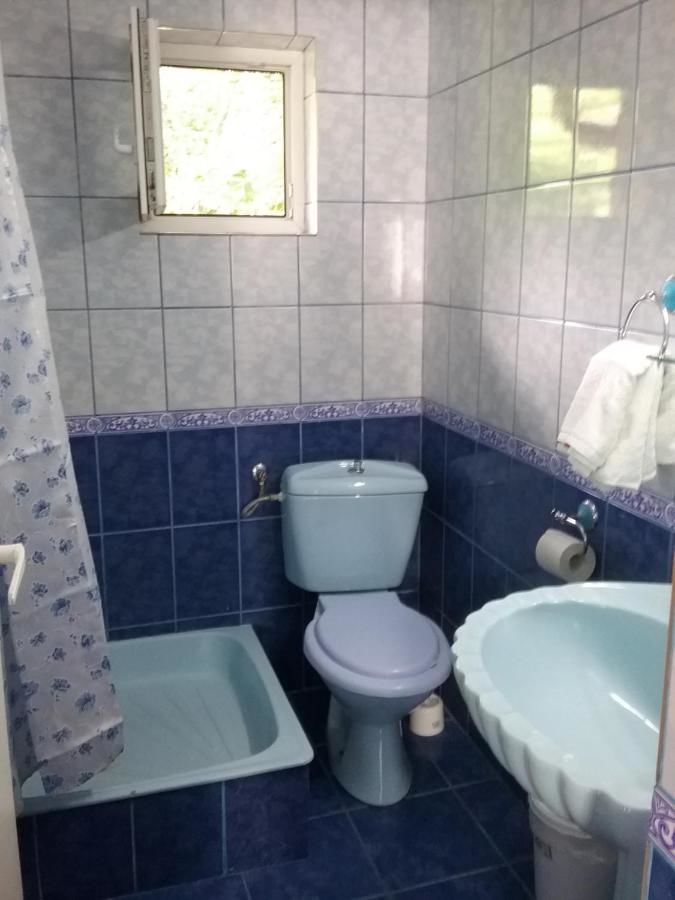 Гостевой дом Pensiune Restaurant Sfinx Буштени