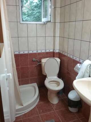 Гостевой дом Pensiune Restaurant Sfinx Буштени Стандартный трехместный номер-1