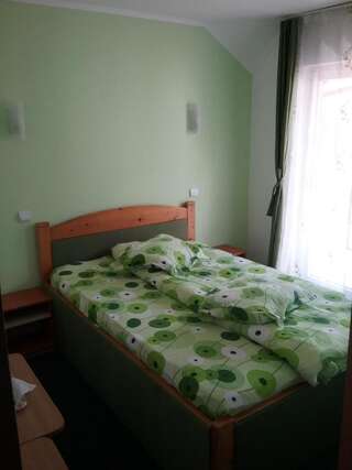 Гостевой дом Pensiune Restaurant Sfinx Буштени Стандартный двухместный номер с 1 кроватью-1