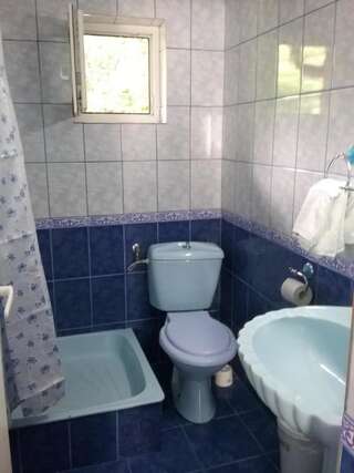 Гостевой дом Pensiune Restaurant Sfinx Буштени Стандартный четырехместный номер-1