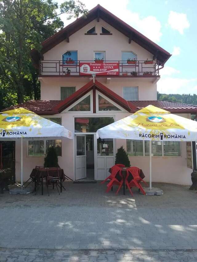 Гостевой дом Pensiune Restaurant Sfinx Буштени-17