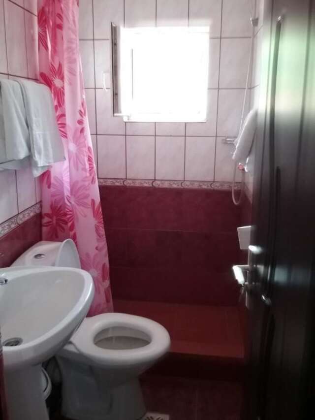 Гостевой дом Pensiune Restaurant Sfinx Буштени-22