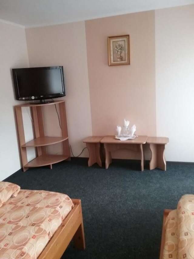 Гостевой дом Pensiune Restaurant Sfinx Буштени-5